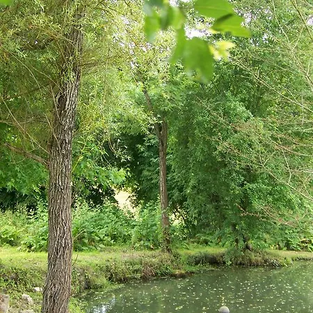 L'âne Vert Saint-Meard-de-Gurcon