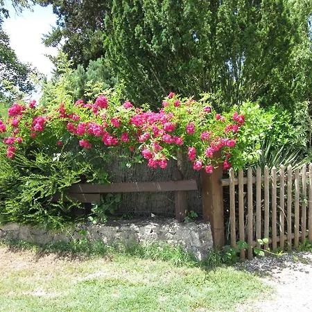 L'ane Saint-Meard-de-Gurcon