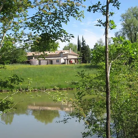 L'âne Vert