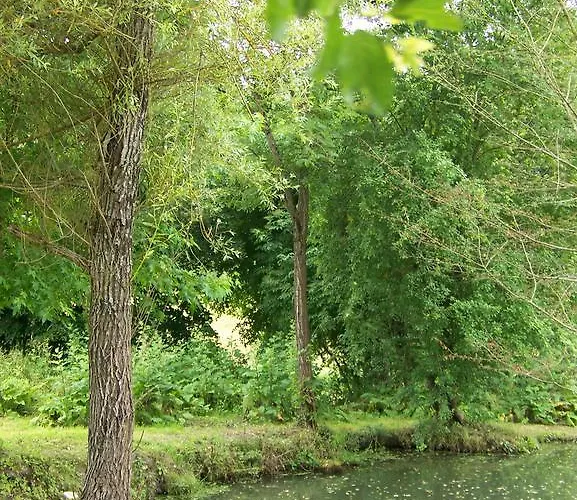 L'ane Vert Saint-Meard-de-Gurcon