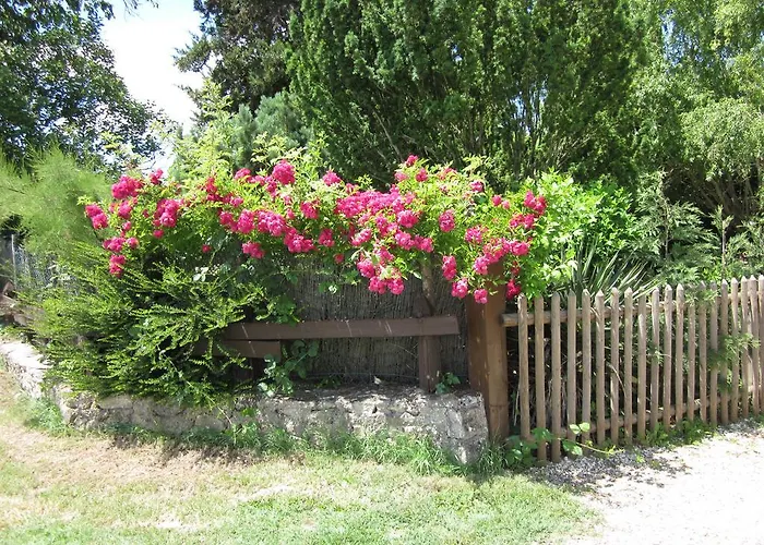 L'ane Vert Saint-Meard-de-Gurcon