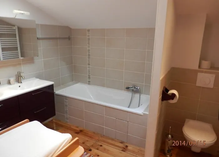 L'ane Vert Saint-Meard-de-Gurcon